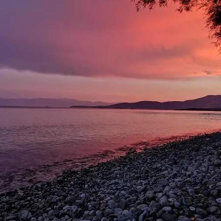 Garden 20m From The Sea * Kirra