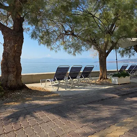 Garden 20m From The Sea Apartment Kirra