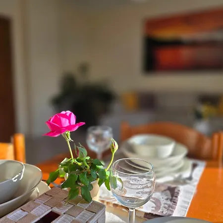 Garden 20m From The Sea Kirra